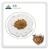 Bubuk ekstrak cordyceps sinensis