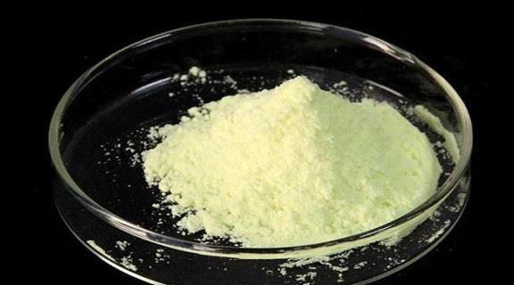 Apa itu Bubuk Quercetin?