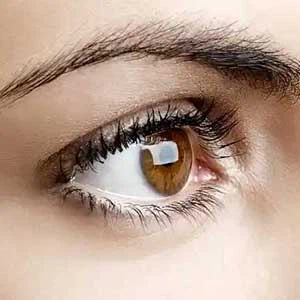 Apa yang dilakukan Astaxanthin pada tubuh Anda?