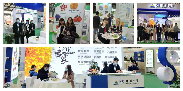 Exhibition Exhibition