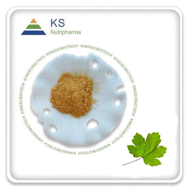 Ekstrak Daun Hawthorn